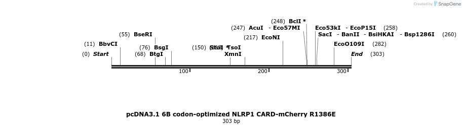 318211_map