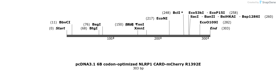 318212_map