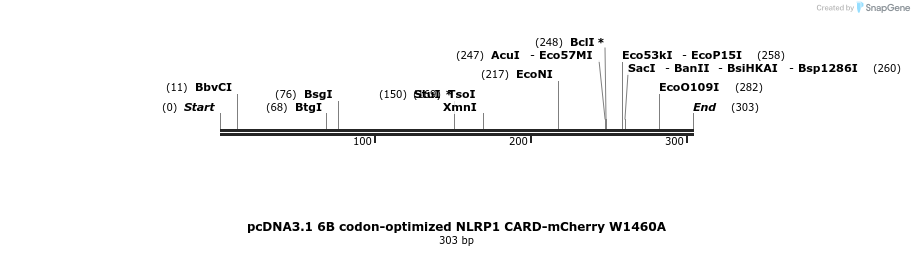 318220_map