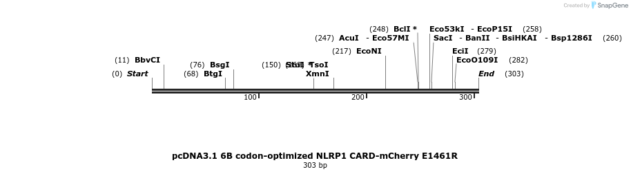 318221_map