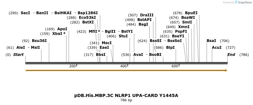 318223_map