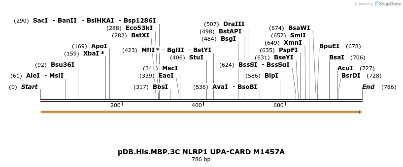 318224_map