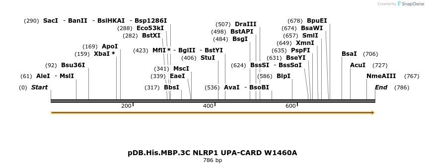318225_map
