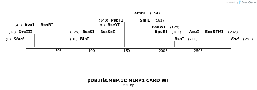 318227_map