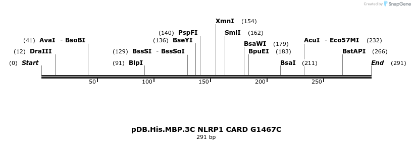 318228_map