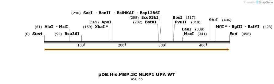 318229_map