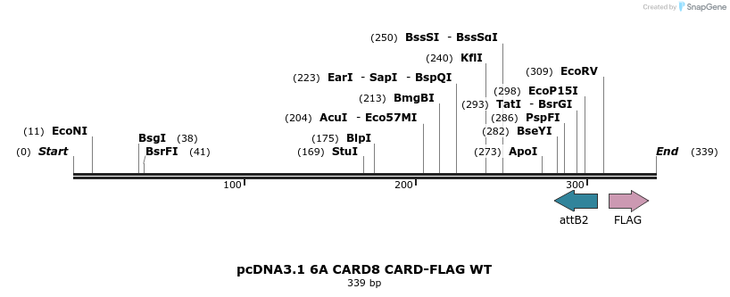 318239_map