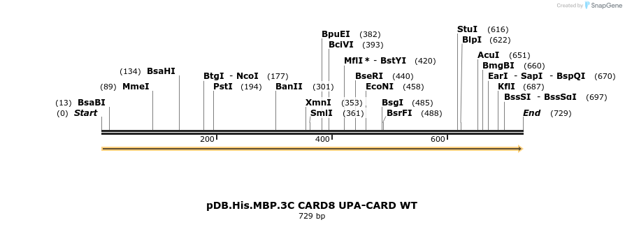 318240_map