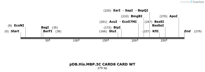 318241_map