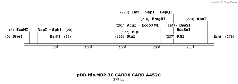318242_map
