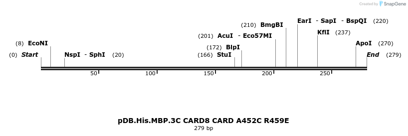318243_map