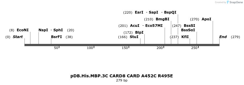 318247_map
