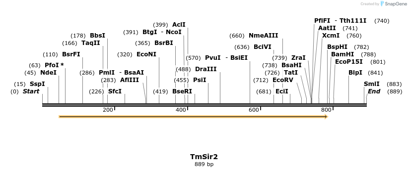 31828_map