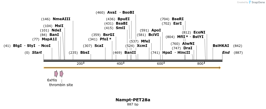 31831_map
