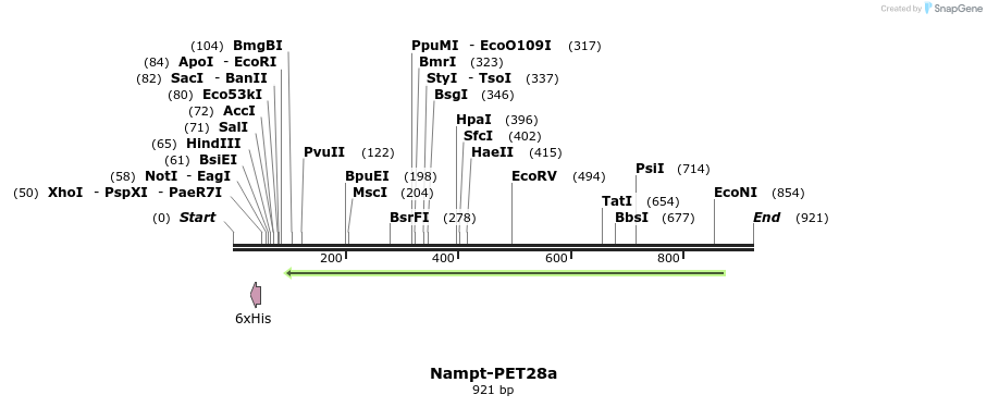 31832_map