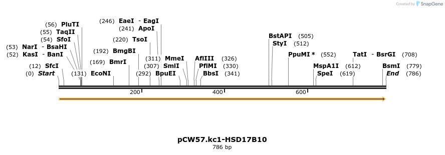 318334_map