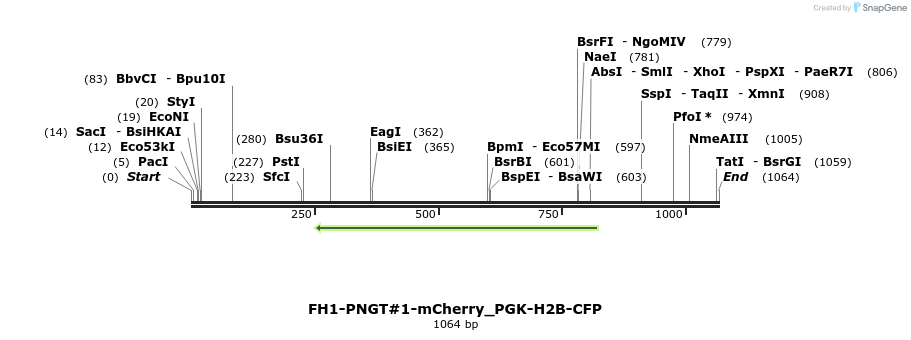 318413_map