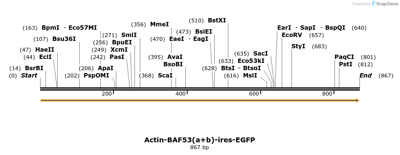 31844_map