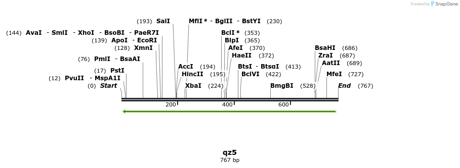 31847_map