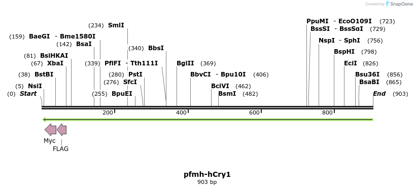 31853_map