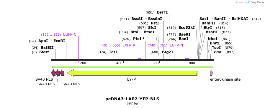 31856_map