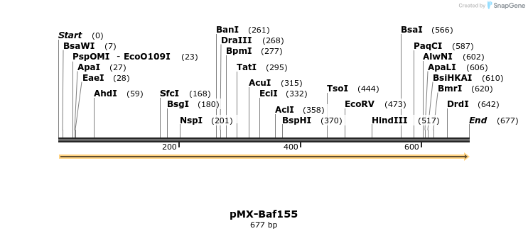 31899_map