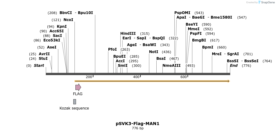 31900_map