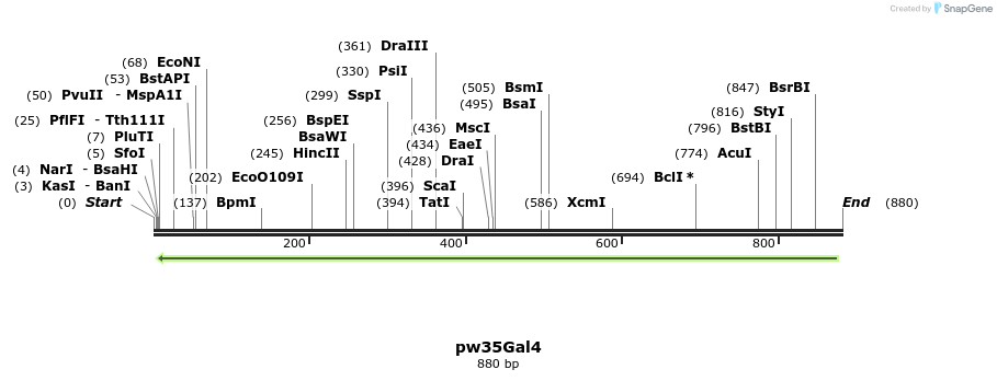 31904_map