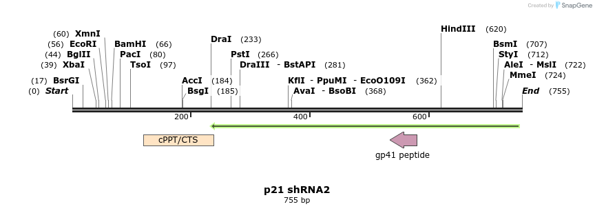 31909_map