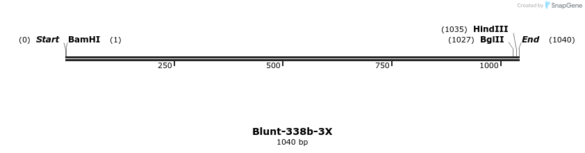 319126_map
