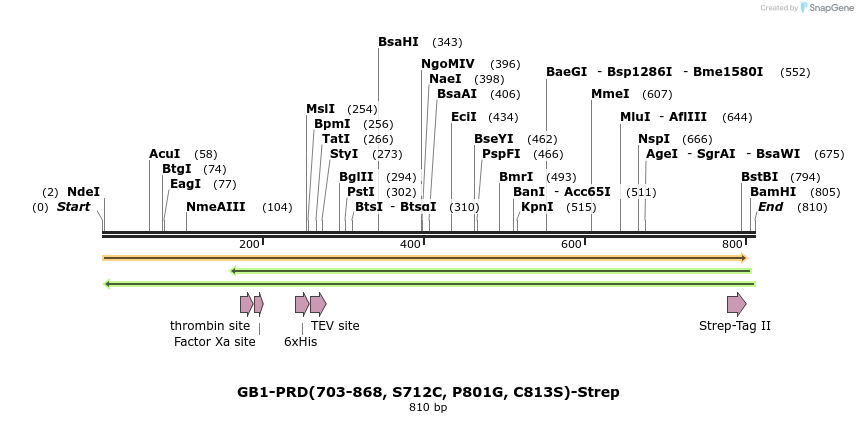 319172_map