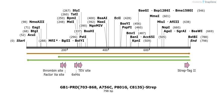 319176_map