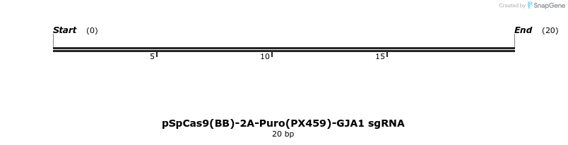 319232_map