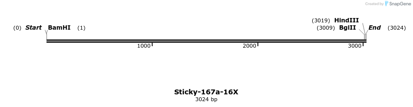 319326_map