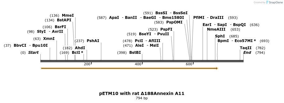 319479_map