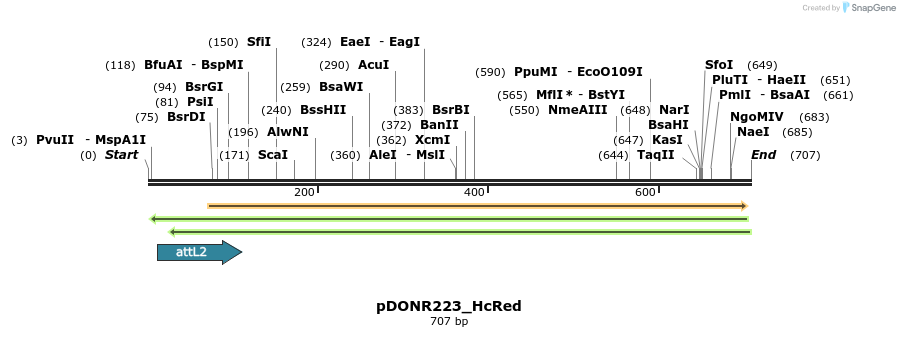 31955_map
