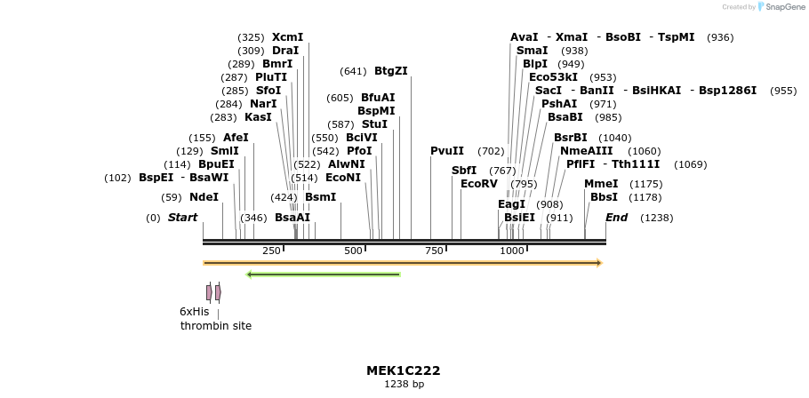 319613_map