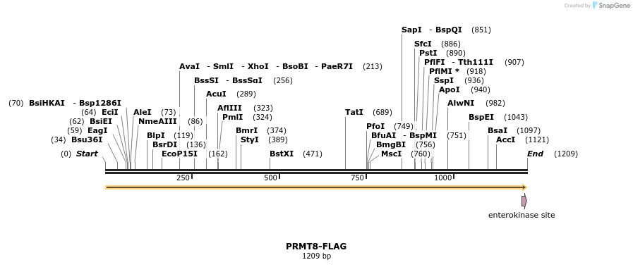 319756_map