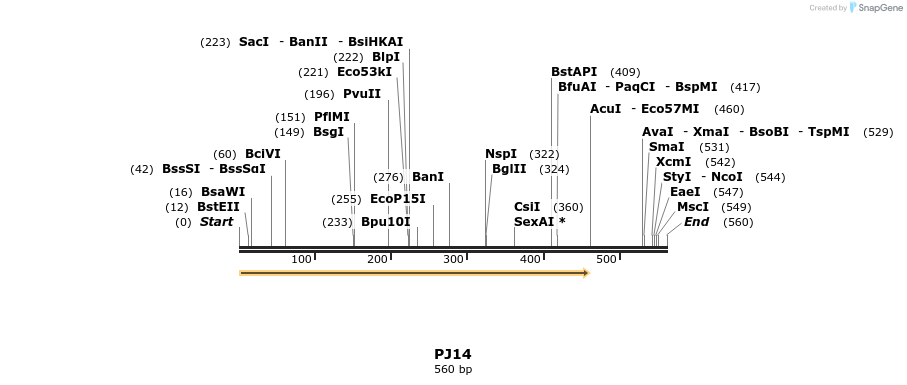 31976_map