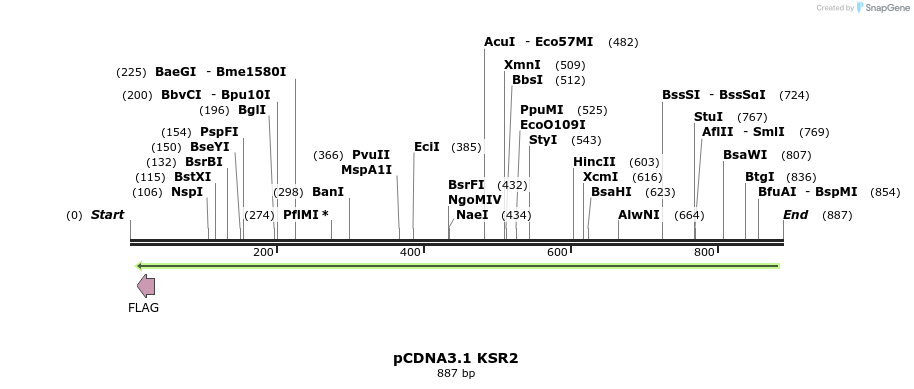 31978_map