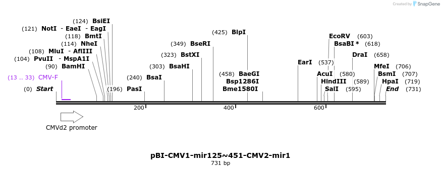 319808_map