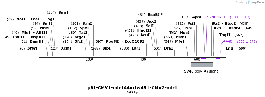 319814_map