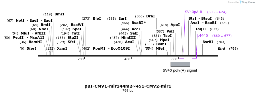 319815_map
