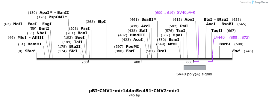 319818_map