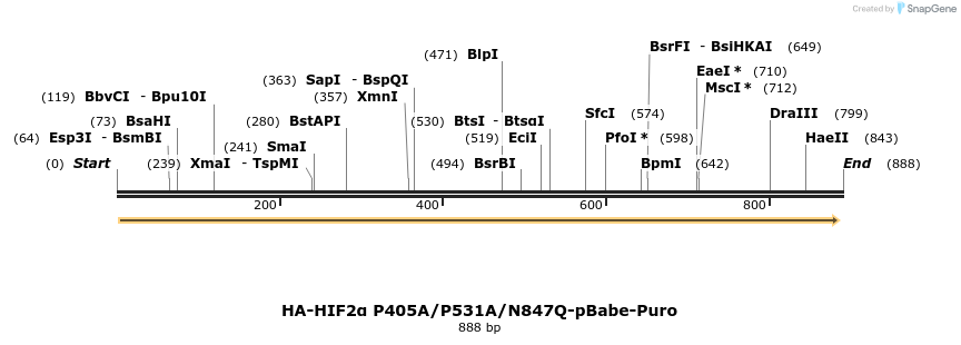 31982_map