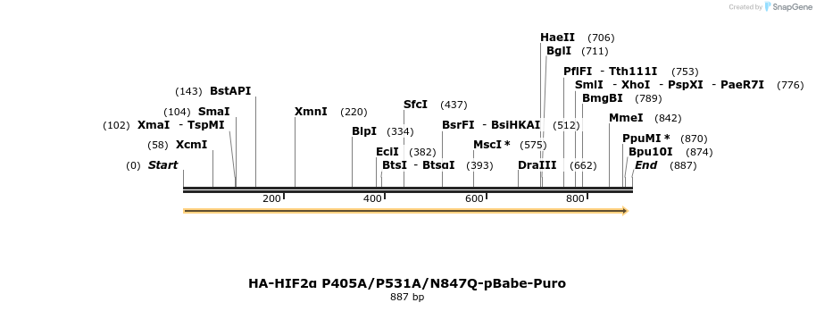 31984_map