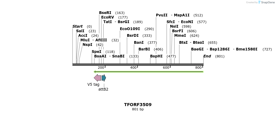 319843_map