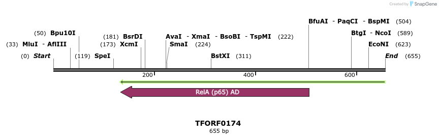 319851_map