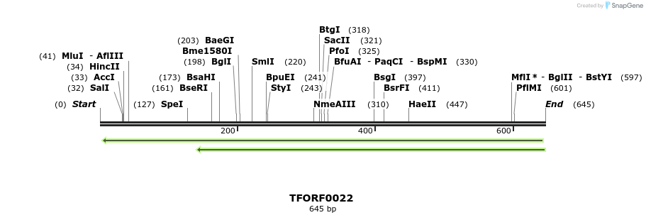 319854_map