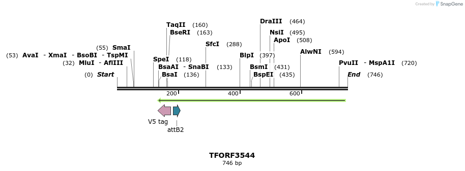 319855_map